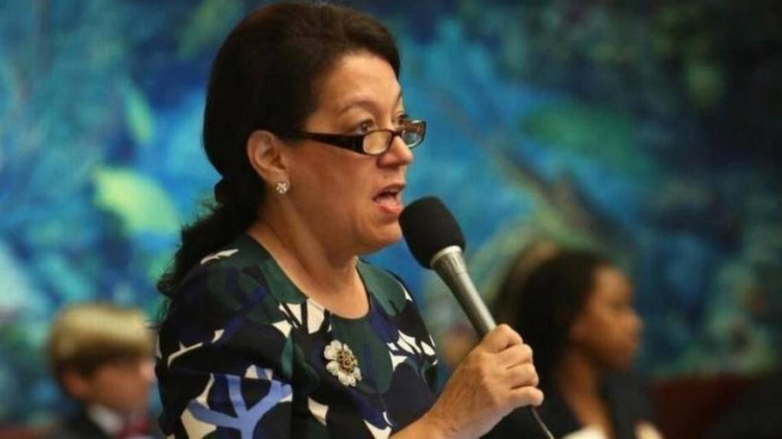 State Rep. Daisy Baez, D-Coral Gables, pictured during this year’s legislative session.