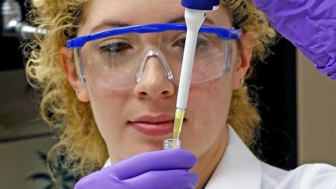 Elisa Shoff of the Miami-Dade County Medical Examiner’s toxicology lab, test blood samples for synthetic drugs, September 11, 2015.