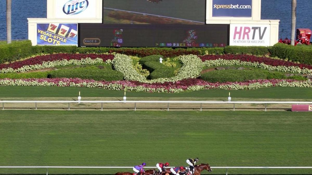Thoroughbreds race on the turf at Gulfstream Park Racing & Casino on Oct. 5, 2013.