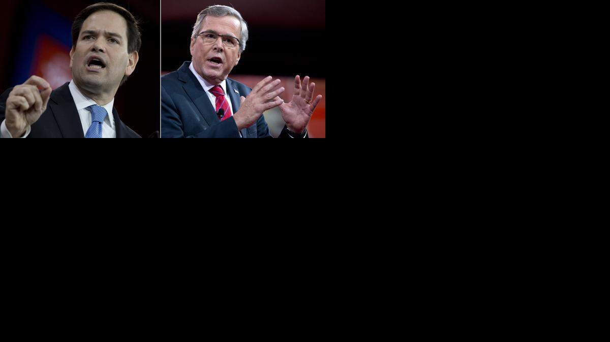 
Sen. Marco Rubio and Jeb Bush.
