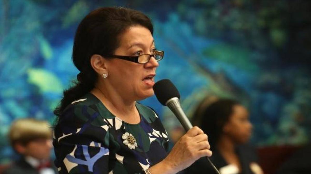 State Rep. Daisy Baez, D-Coral Gables, pictured during the legislative session that ended earlier this month.
