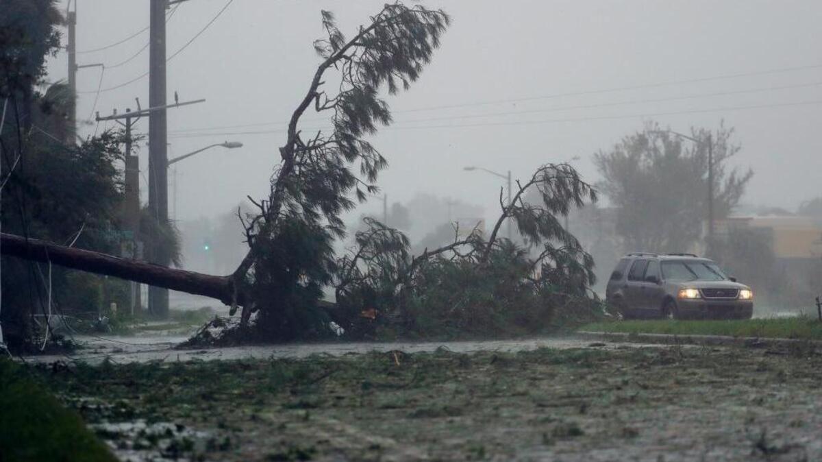 A car drives past a downed tree as Hurricane Matthew moves through Daytona Beach, Friday, Oct. 7, 2016. Many Florida communities and agencies are still waiting for the state to reimburse them for cleanup expenses.