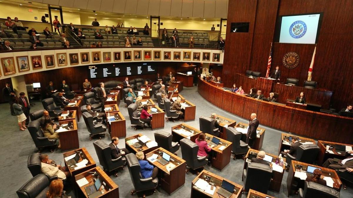 Florida senators debate on the Senate floor in January.
