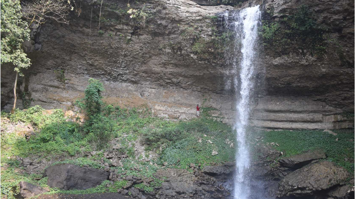 Found deep in the Indian forest, the waterfall was home to a species never found before.