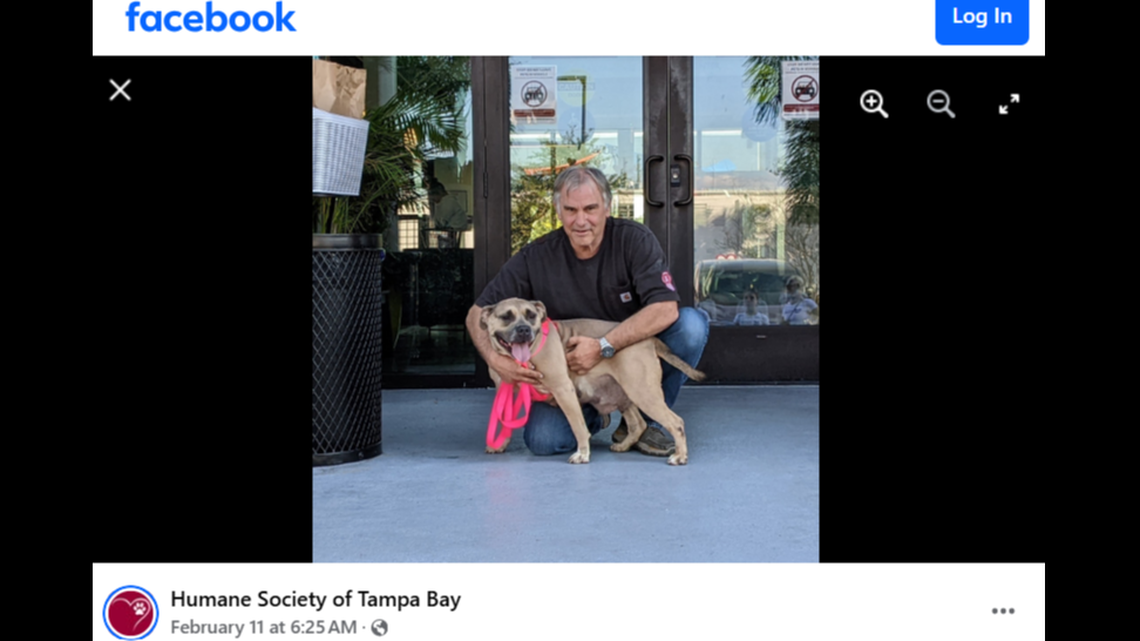 A shelter dog needed a home before forming an “immediate” bond with her new owner in Florida.