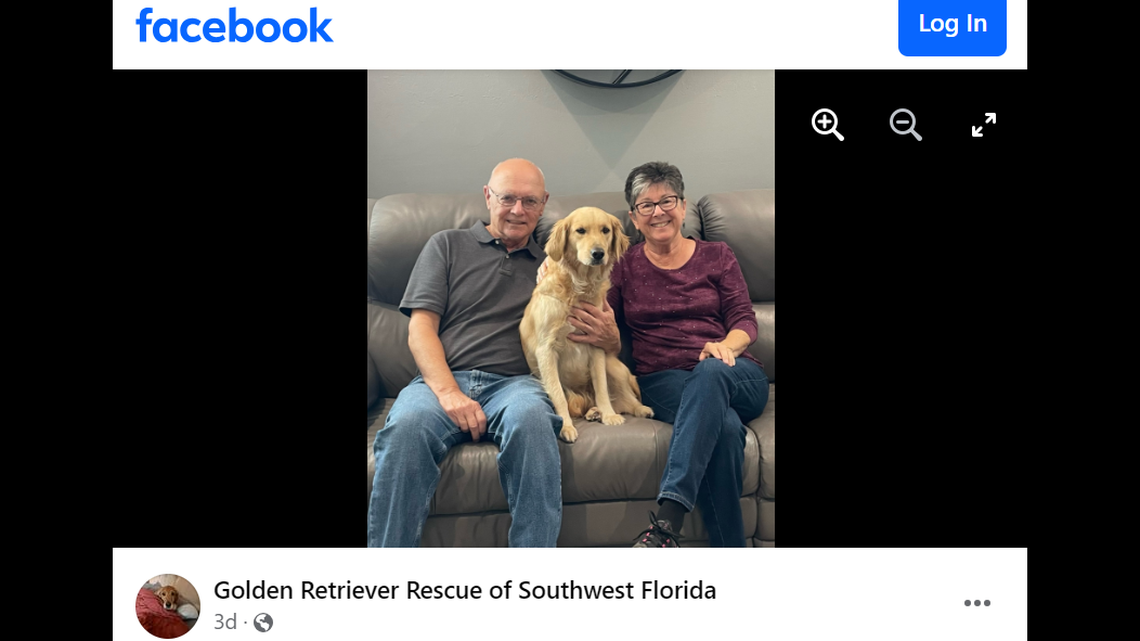 Natalie, a dog found “filthy and emaciated,” is starting a new chapter.