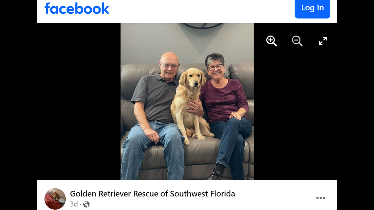 Natalie, a dog found “filthy and emaciated,” is starting a new chapter.
