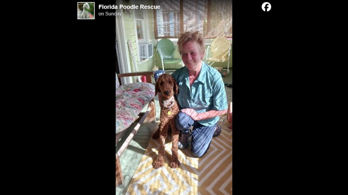 The dog’s new owner knew she had to adopt her, rescuers said.