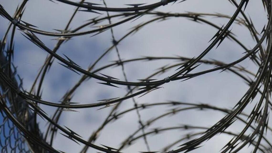 Herald journalists win honors for Fight Club series on juvenile justice