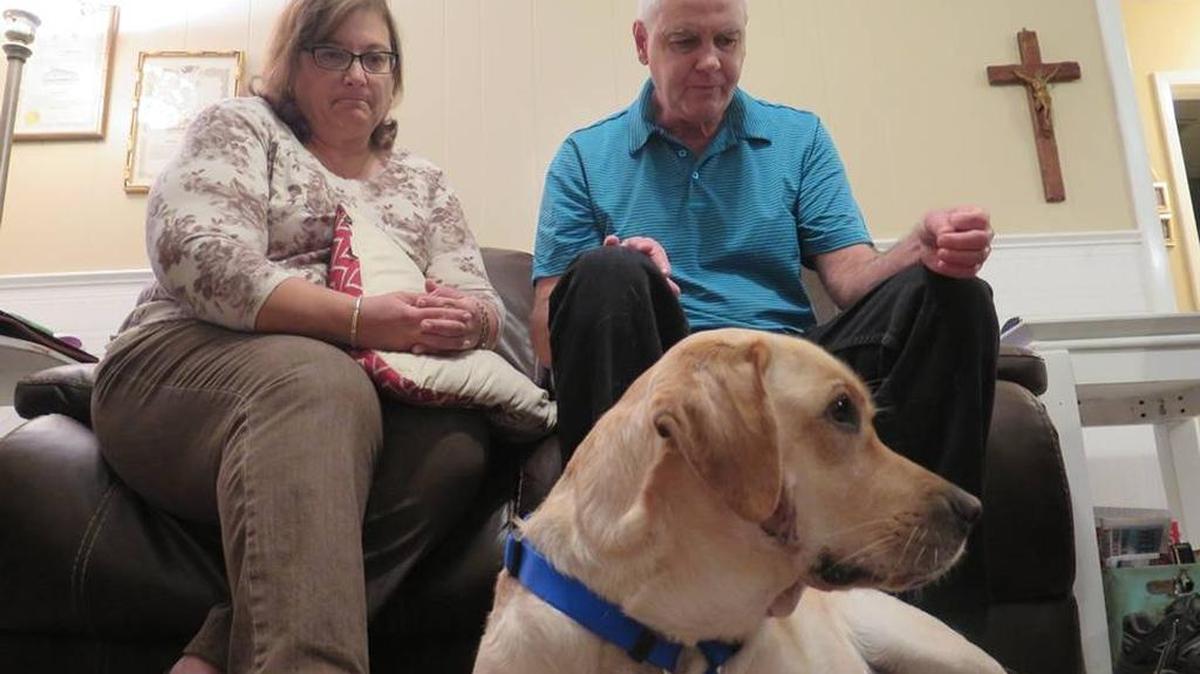 Sonia Draper, 59, and Richard Draper, 58, sit in their Bradenton home with Andie the guide dog.