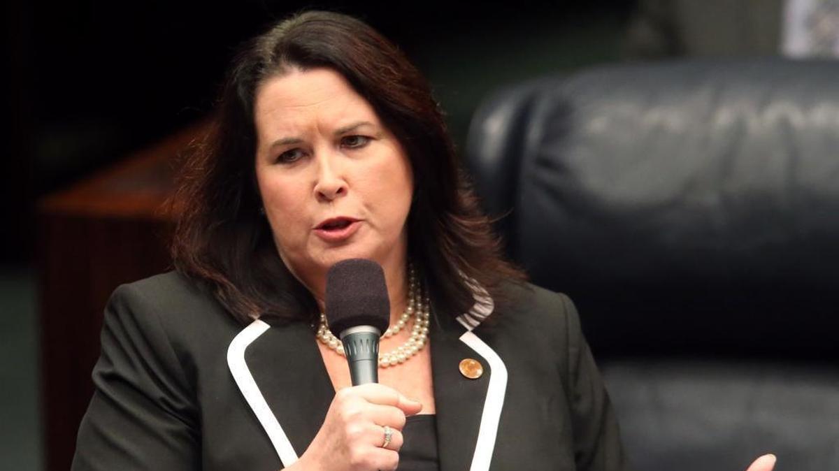 Sen. Kelli Stargel, R-Lakeland, speaks on an abortion bill during session in 2016, in Tallahassee.