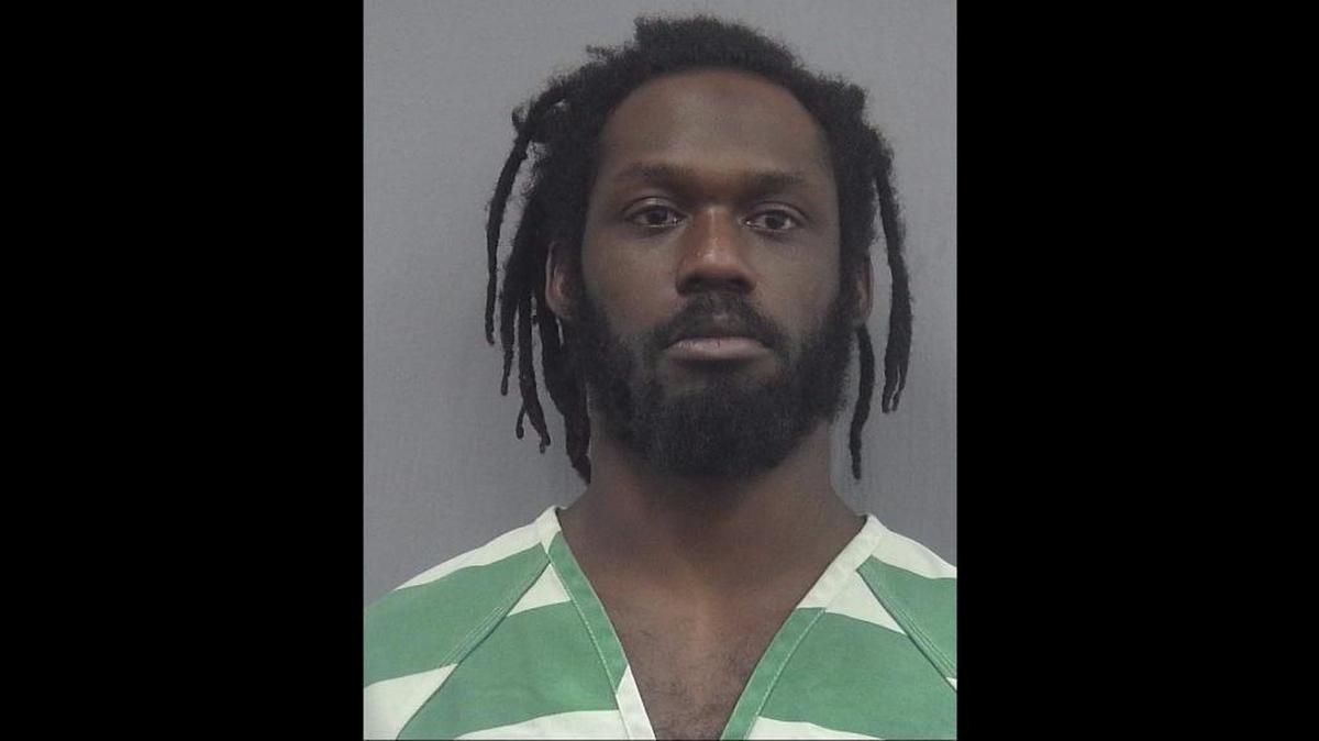 Pro wrestler Richard Swann was arrested and charged with domestic battery and false imprisonment in Gainesville late Saturday night.