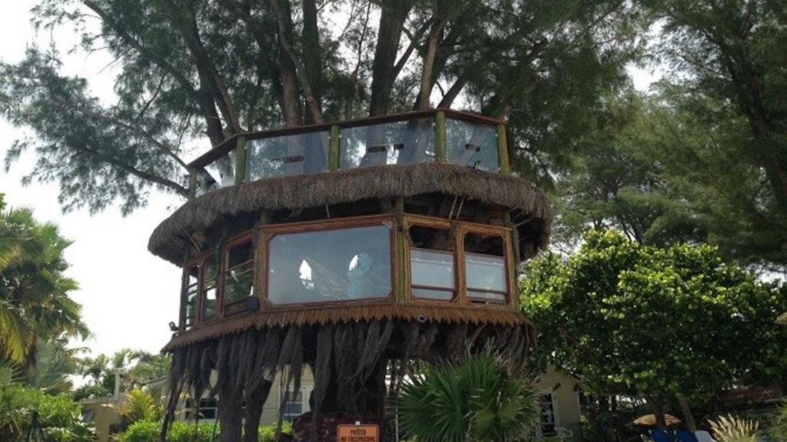 Hazen and Lynn Tran own the treehouse in an Australian pine at Angelinos Sea Lodge, 103 29th St. In 2013, the city found them in violation of multiple sections of Holmes Beach’s land development code.