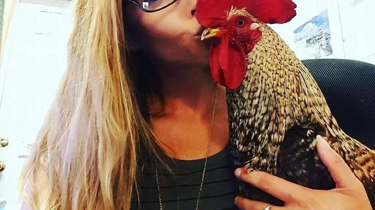 Jessica Barhitte with Grumbles, Swordfish Grill & Tiki Bar’s pet rooster. Barhitte said Grumbles disappeared sometime Sunday afternoon. She’s offering up to $300 for his safe return.