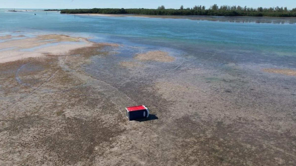 Portable toilet at Stump Pass in Charlotte County, Florida/Caston Arcan/Drone footage screenshot
