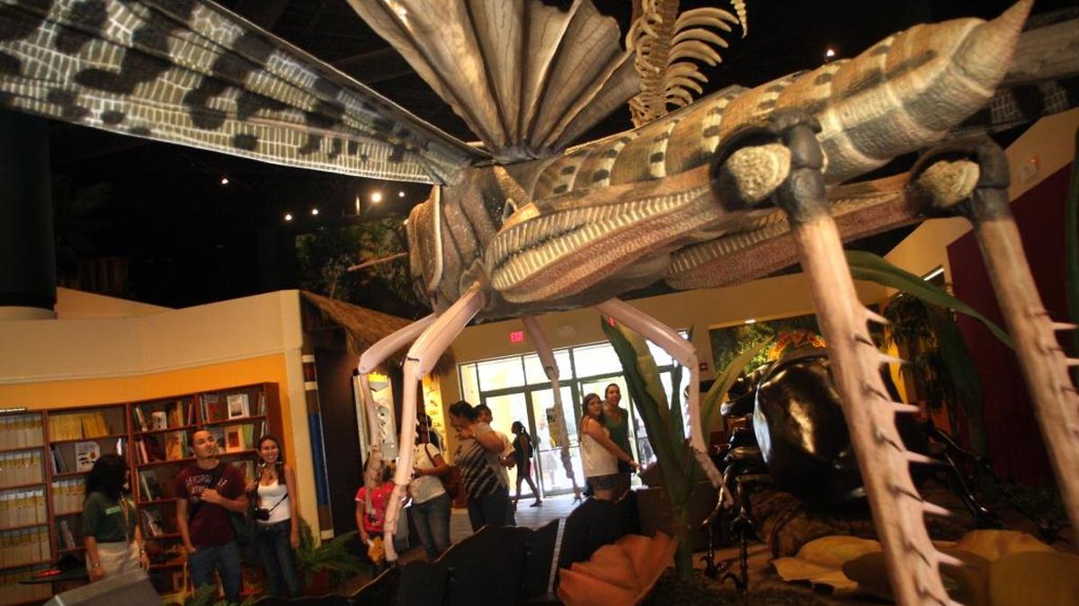 The World of Giant Insects at Miami Metrozoo impresses visitors with its animated robotic insects, enlarged 40 to 600 times their actual size, on Saturday, Feb. 6, 2010, at the exhibit open through Aug. 1.