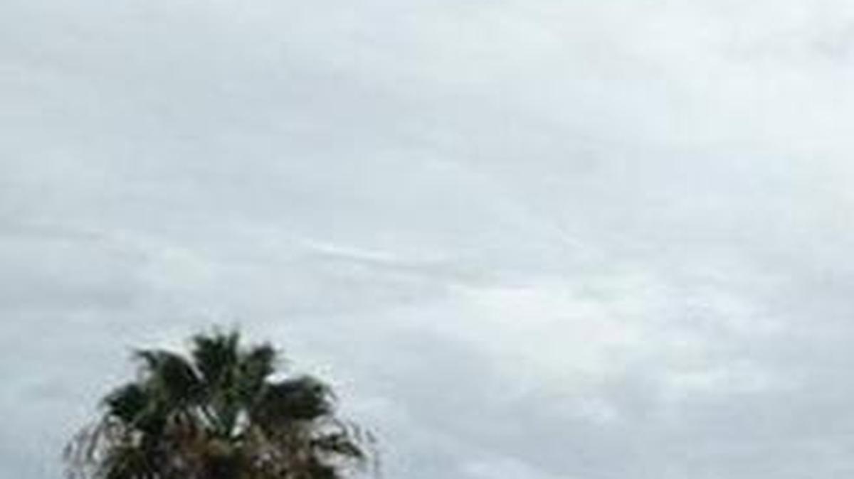
Carlyn Estates Mobile Home Park in Palmetto.

