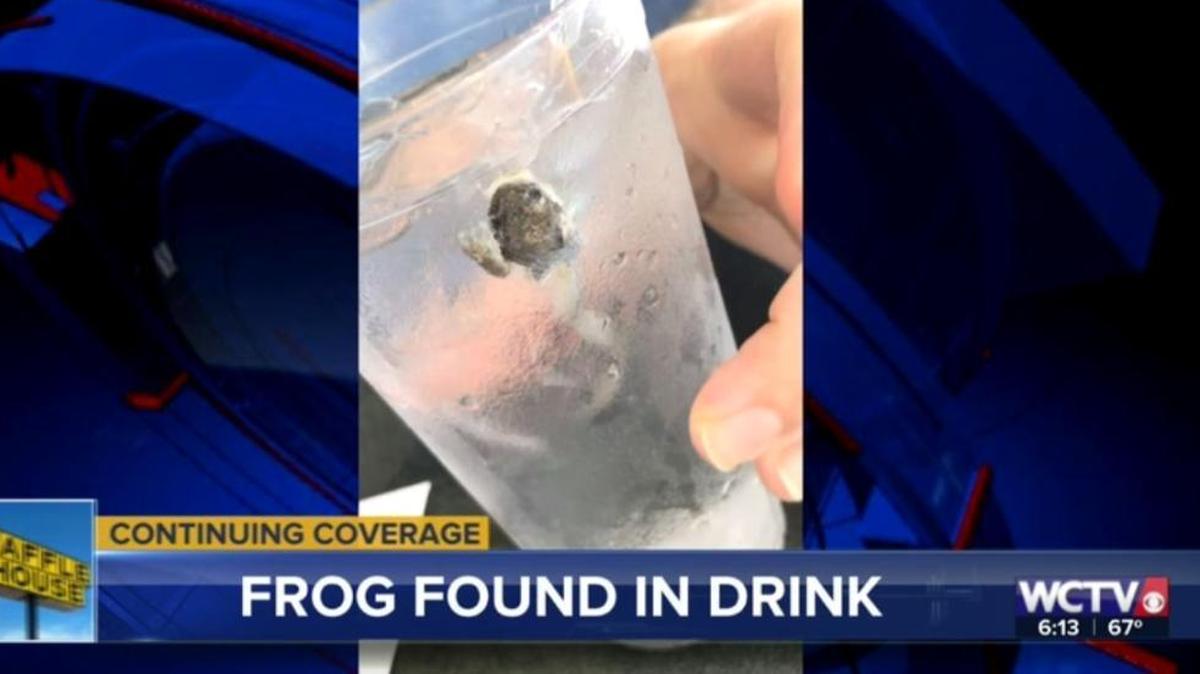 A Tallahassee couple says a frog was found in their iced water last week at Waffle House.