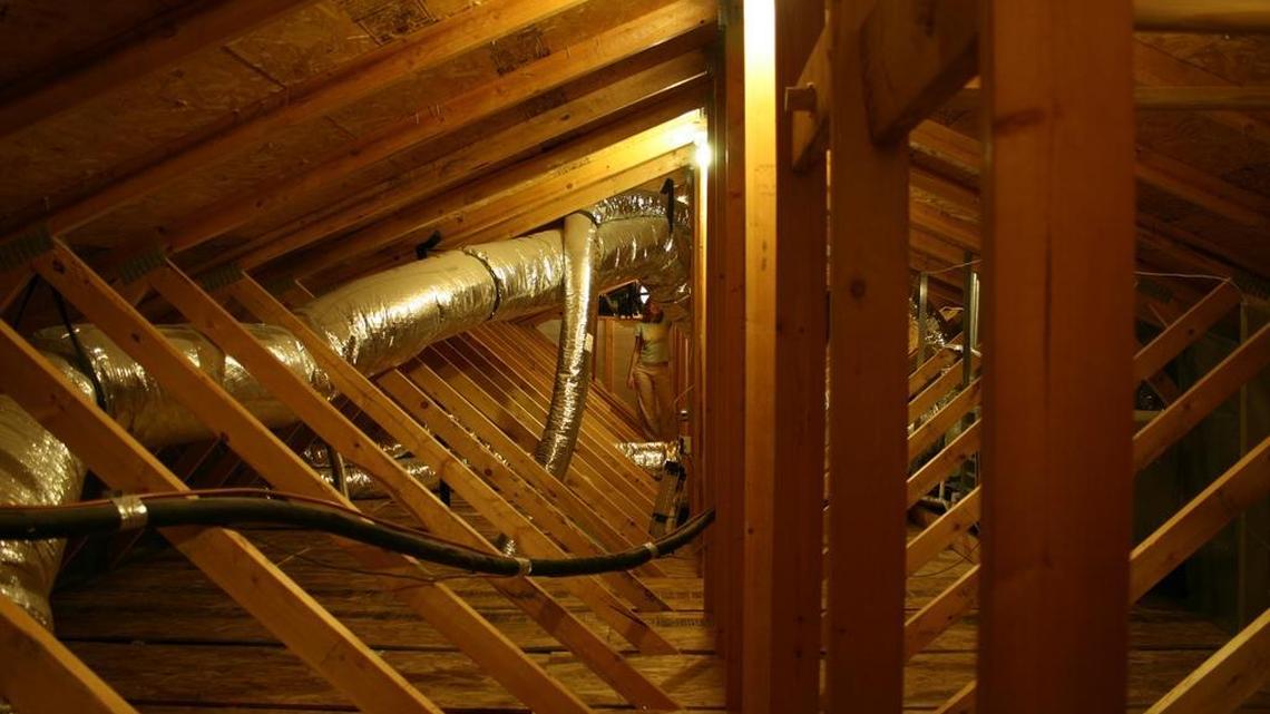 An Englewood, Florida man said after years of weird noises, he found out the cause was a boa constrictor in his attic.