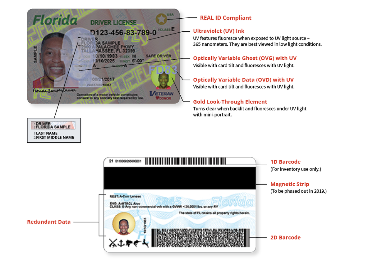 El nuevo diseño de la licencia de conducir y tarjeta de identificación de Florida incluye medidas de seguridad más estrictas.