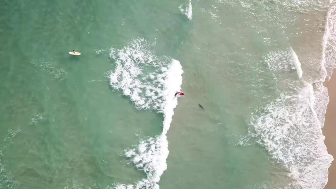 Watch video of a Florida surfer wiping out — atop a shark