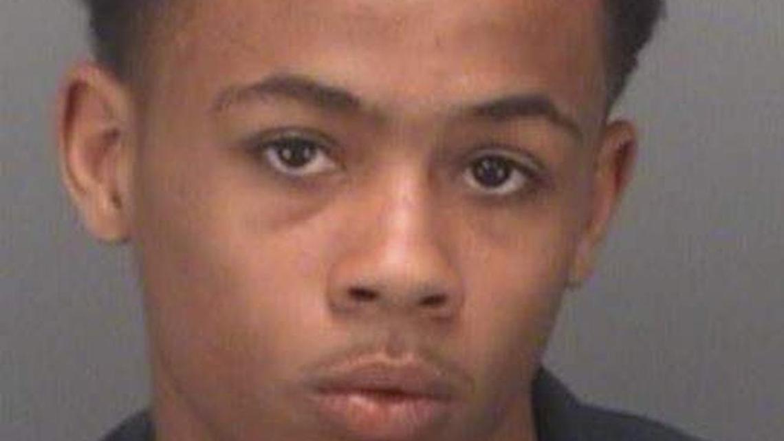 Myles Abbott, 14, was arrested and charged with vehicular homicide/third-degree murder Saturday, St. Petersburg police said.