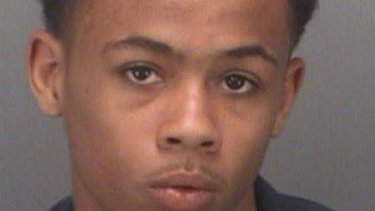 Myles Abbott, 14, was arrested and charged with vehicular homicide/third-degree murder Saturday, St. Petersburg police said.