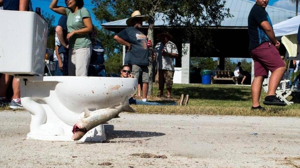 A frozen mullet slaps the toilet, awarding the highest points of successfully scored, as contestants toss mullets into containers while competing for prizes during the Terra Ceia Mullet Smoke-Off on Saturday afternoon at Seabreeze Park on Terra Ceia Island Village.