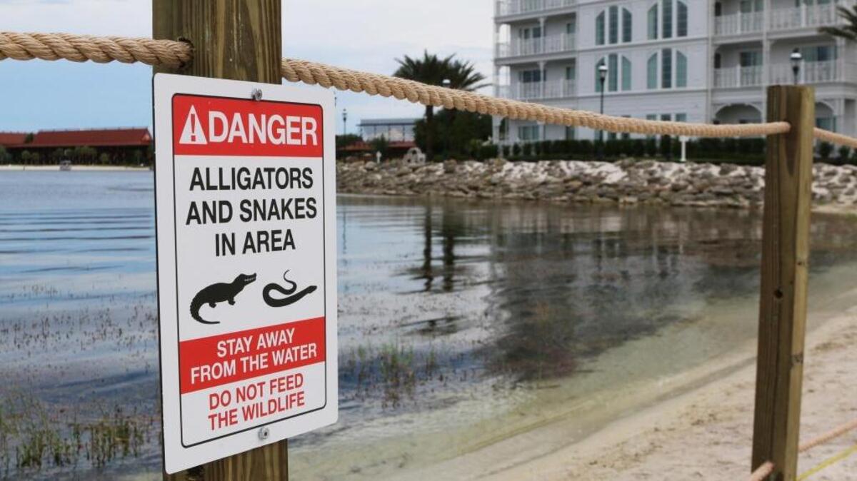 In this Friday, June, 17, 2016 file photo released by Walt Disney World Resort, a new sign is seen posted on a beach outside a hotel at a Walt Disney World resort in Lake Buena Vista, Fla., after a 2-year-old Nebraska boy killed by an alligator at Disney World. Matt Graves, the father of the toddler killed by an alligator at Disney on June 14, told rescue officials two alligators were involved in the attack, according to emails from the Reedy Creek Fire Department.