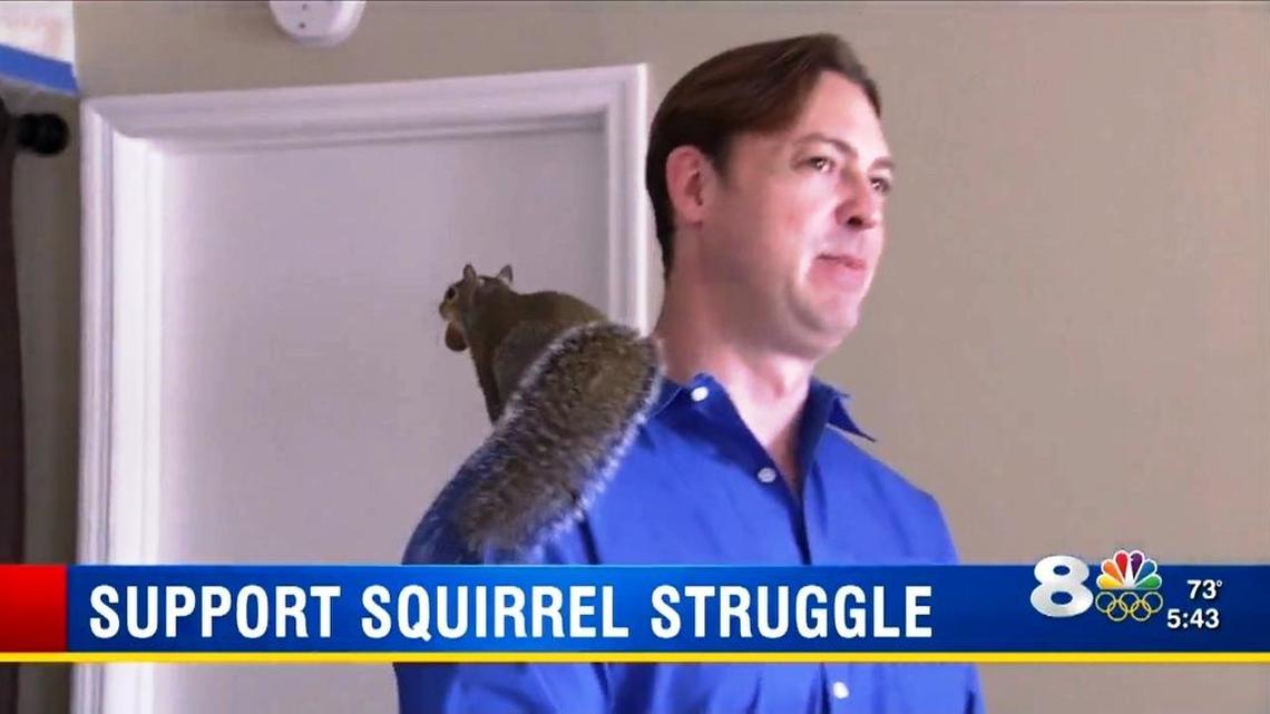 Brutis, a squirrel, perches on the shoulder of Ryan Boylan. The Clearwater Beach man is fighting with his condo board. He says the squirrel is an emotional support animal. The board says exotic pets are not allowed.