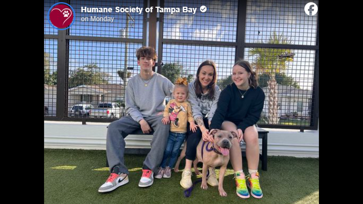 Rose is getting a second chance after she was overlooked at a Florida animal shelter.