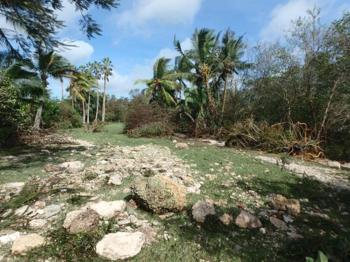 New rocky beach has replaced grass at the point at the Kampong after Hurricane Irma storm surge.