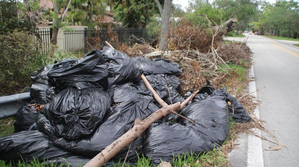 Plastic garbage bags were dumped on this debris pile in Coconut Grove, but trash is not supposed to be mixed with vegetative debris and won't be collected.