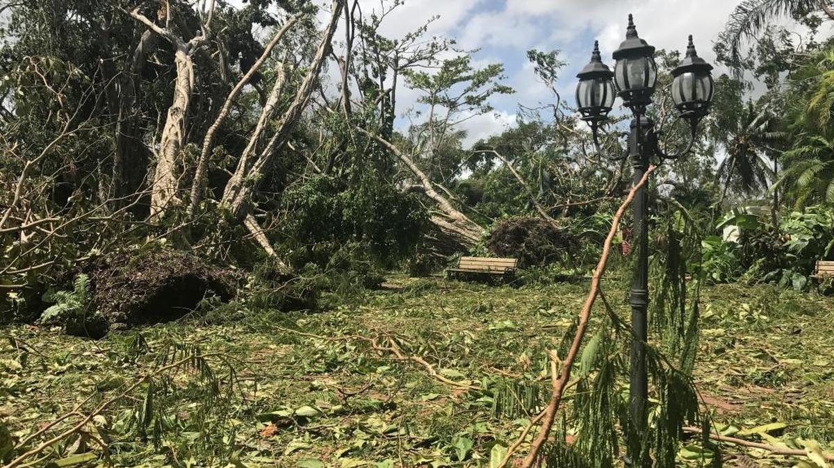 Cauley Square’s tree canopy was completely destroyed by Hurricane Irma. This is a view of the village’s courtyard garden on Monday, Sept. 11, 2017.