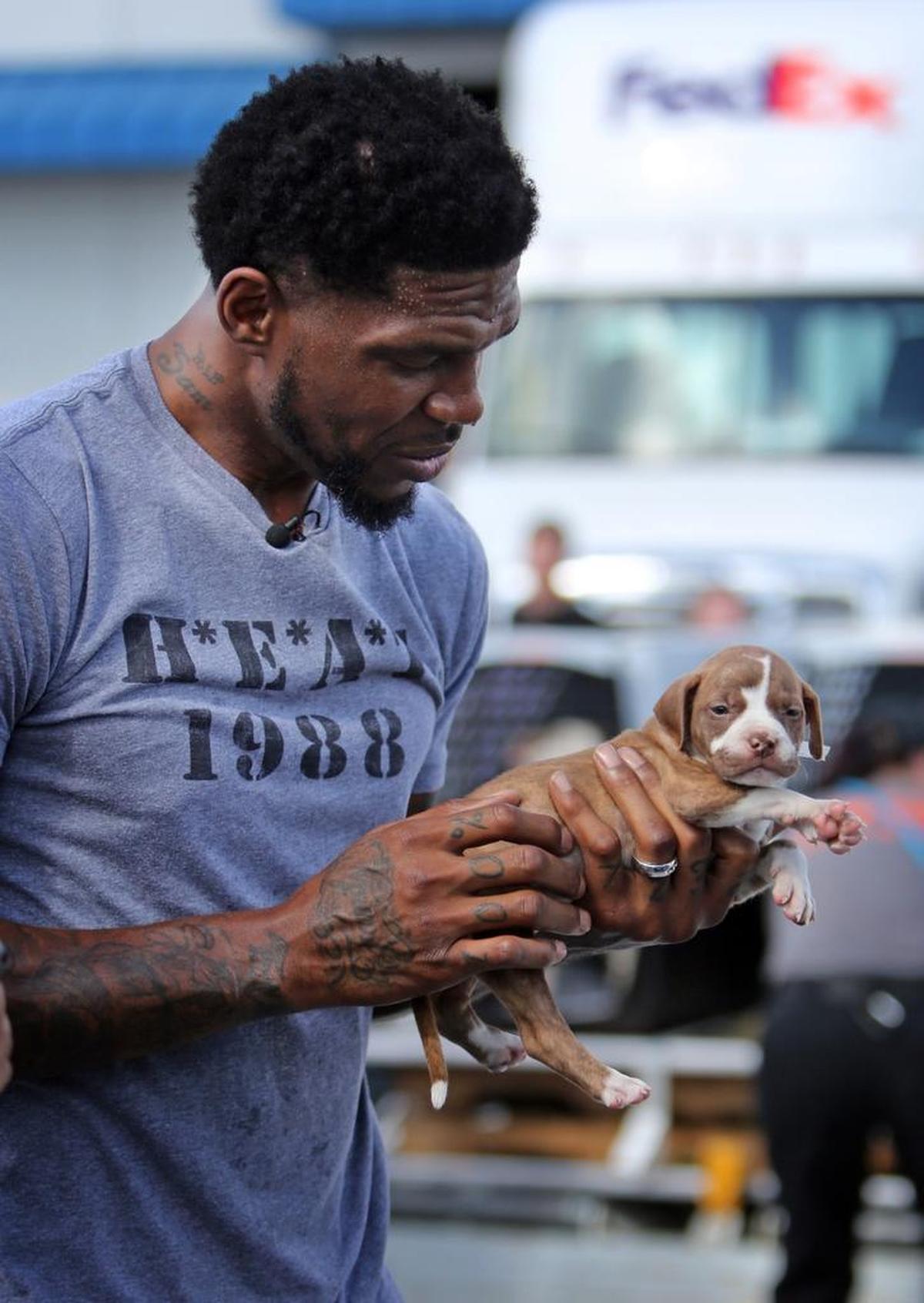 Miami Heat captain Udonis Haslem, who has three dogs of his own, holds one of the rescue puppies about to board a FedEx plane to California.