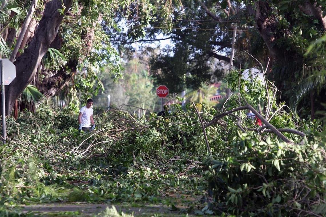 Coral Gables residents clean up the area around Coral Way and Granada Boulevard, which was hit hard by Hurricane Irma, on Monday, Sept. 11, 2017. The city did not begin its debris cleanup until Saturday, Sept. 16, 2017.