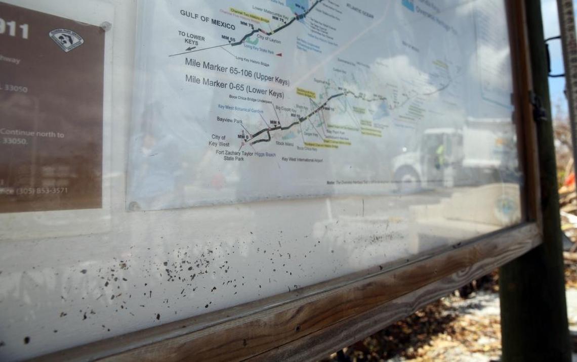 Don Hampton and David Byers, hydrologic technicians with the U.S. Geological Survey, racing to document high water marks from Irma’s storm surge, found this seedline inside a National Park Service map box on Big Pine Key.