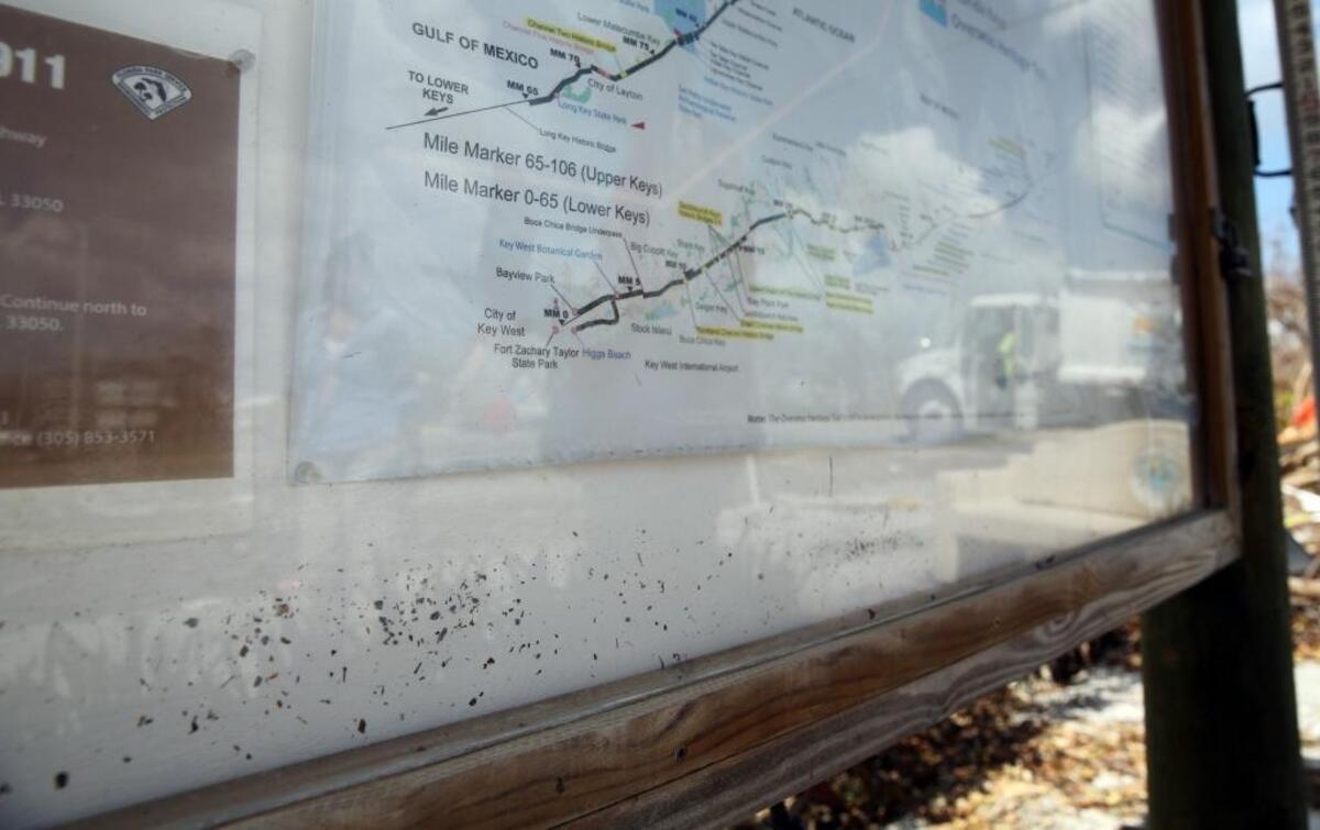 Don Hampton and David Byers, hydrologic technicians with the U.S. Geological Survey, racing to document high water marks from Irma’s storm surge, found this seedline inside a National Park Service map box on Big Pine Key.