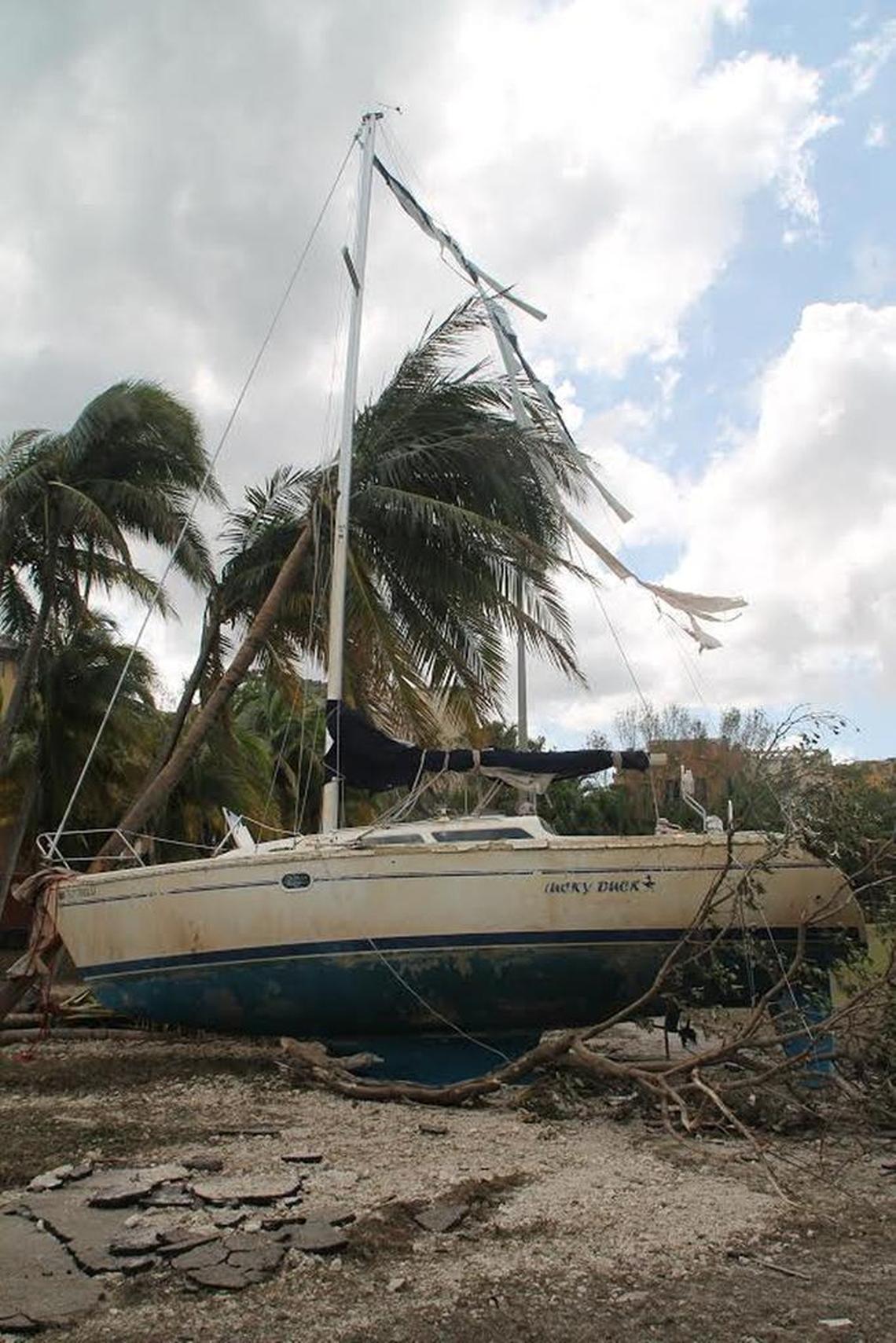 A sailboat named the Lucky Duck ran aground in Peacock Park in Coconut Grove after being carried ashore by Irma’s storm surge.