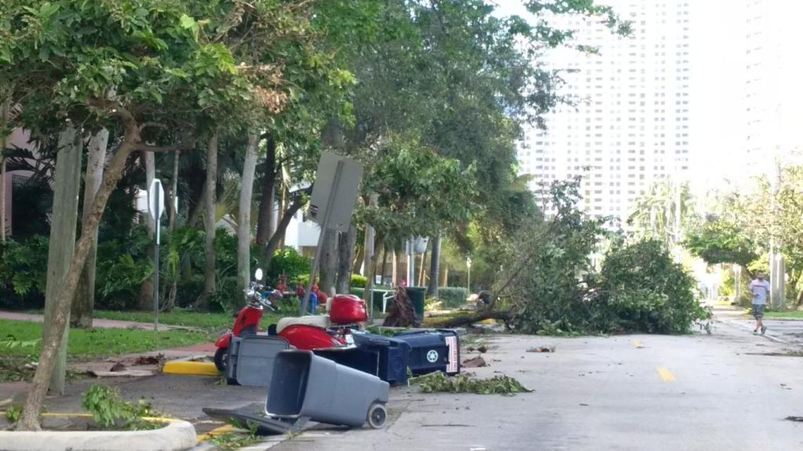 Irma-felled garbage bins on Bay Road in Miami Beach.