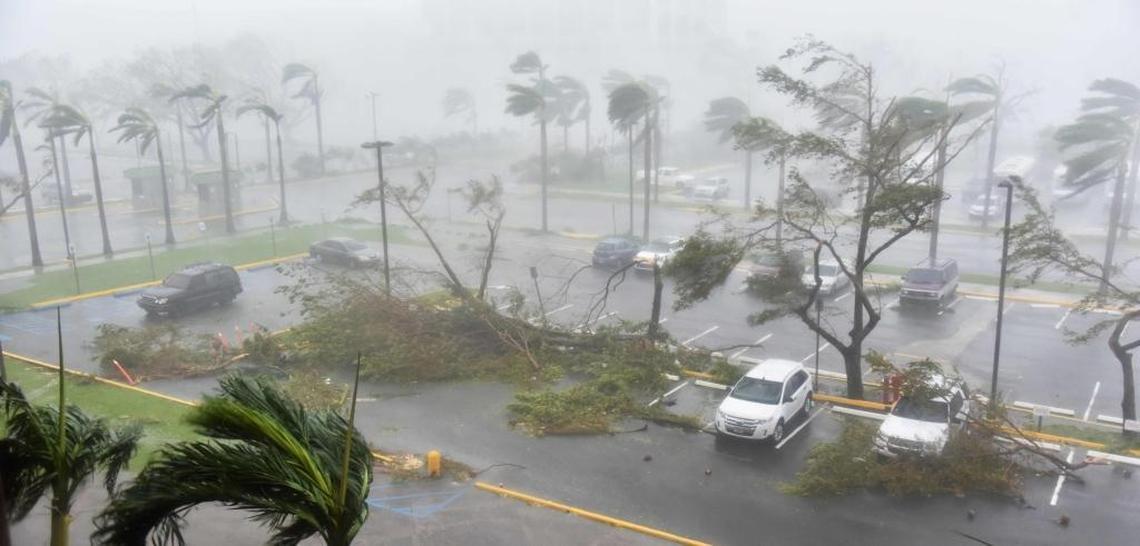 Trees are toppled in a parking lot at Roberto Clemente Coliseum in San Juan, Puerto Rico, on Wednesday during the passage of the Hurricane Maria.