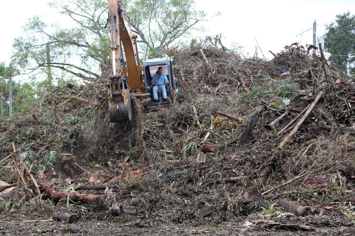 The Village of Biscayne Park is collecting Hurricane Irma debris in an empty lot just south of their new village hall.