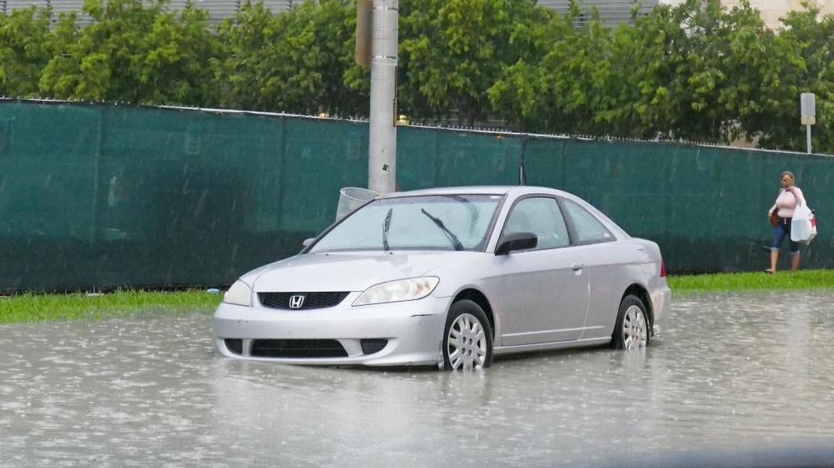 People concerned about flooded cars can head to one of eight Metrorail garages, where Miami-Dade is offering free parking until Hurricane Irma leaves the area.
