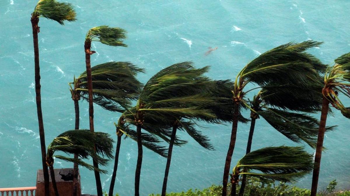 Wind brought by Hurricane Matthew blow palm trees on Paradise Island in Nassau, Bahamas, Thursday, Oct. 6, 2016. The head of the Bahamas National Emergency Management Authority, Capt. Stephen Russell, said there were many downed trees and power lines, but no reports of casualties.