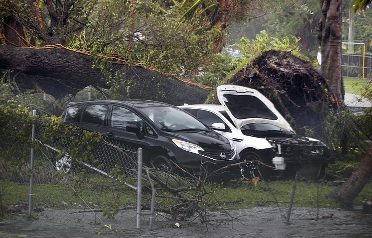 Damaged cars are seen next to a fallen tree in the Flagami area as Hurricane Irma's heavy winds pounded South Florida, on Sept. 10, 2017