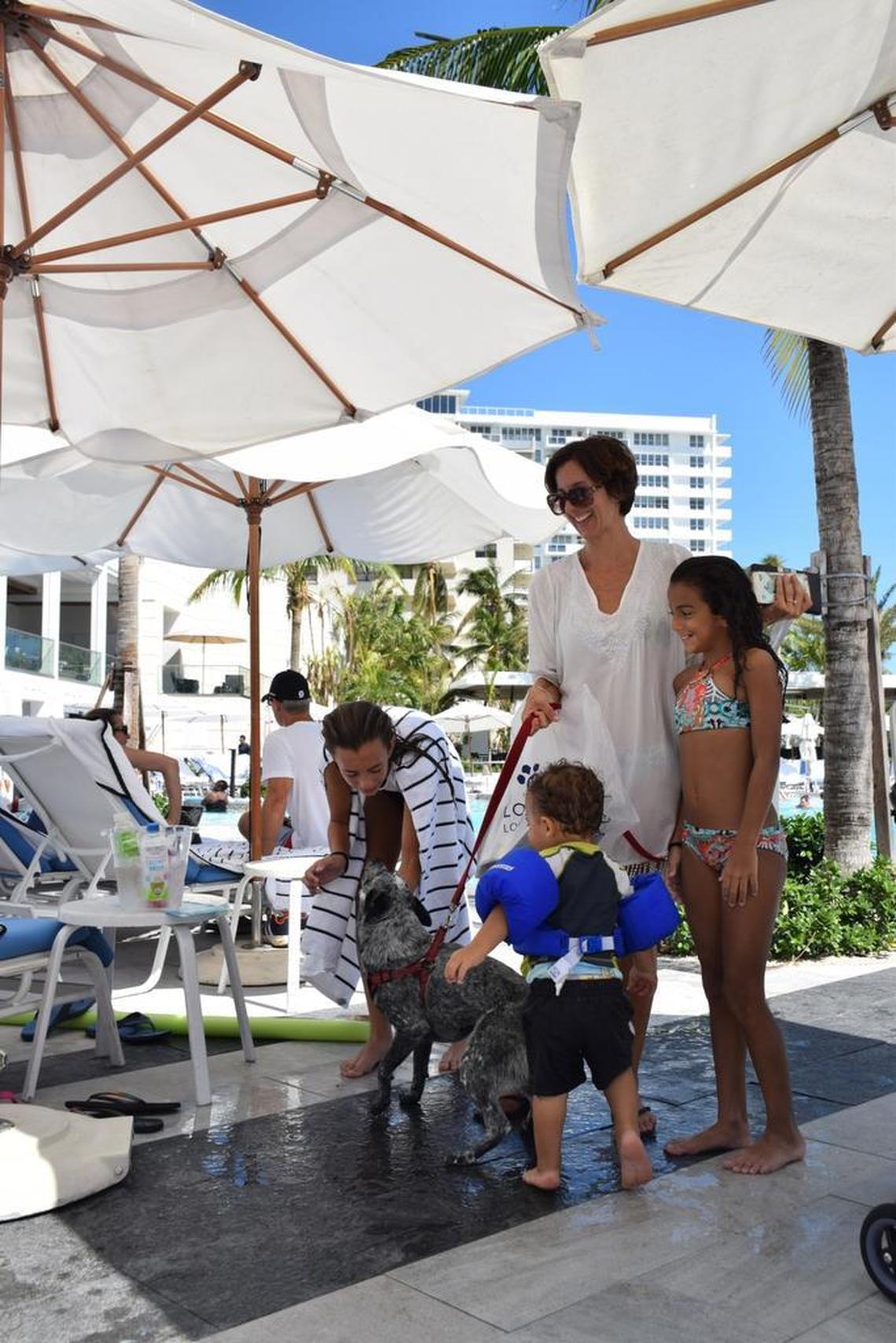 Nicola Veitia, and her family, plus her 8-month old puppy, Jaya, a blue heeler, rented a room at the Loews Miami Beach Hotel Thursday. The hotel is among more than a dozen in Miami Beach offering $99 rates for Beach residents after Hurricane Irma.