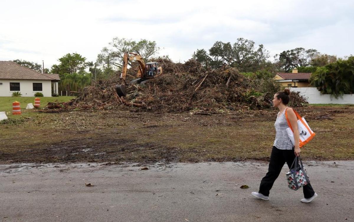 Natalie Jaramillo, who works at the Biscayne Park School, walks by a large pile of debris that the Village of Biscayne Park is collecting in an empty lot just south of the new village hall.
