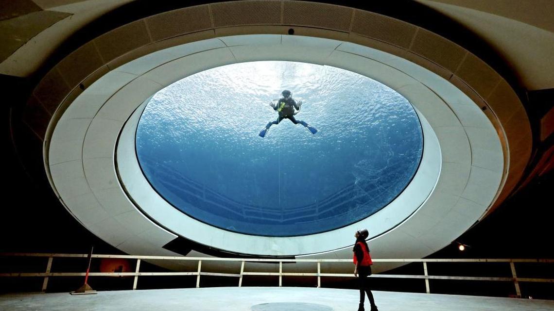 Two months before the Phillip and Patricia Frost Museum of Science opened in May 2017, a diver inspected and cleaned the 500,000-gallon Gulf Stream Aquarium’s 31-foot-wide oculus lens, the largest viewing portal into the habitat, on March 3, 2017.