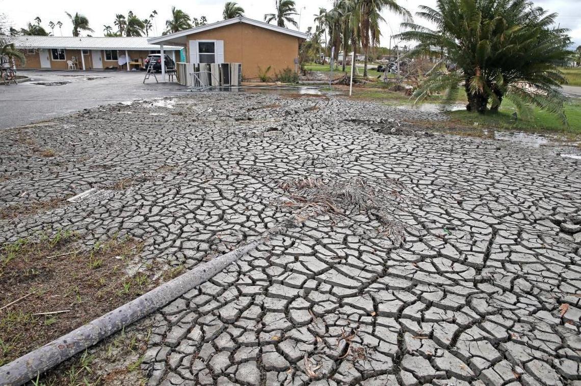 Mud from the storm surge from Hurricane Irma covers the ground near the Everglades City Motel. Nearly three weeks after the storm, residents are still trying to clean up the mud.