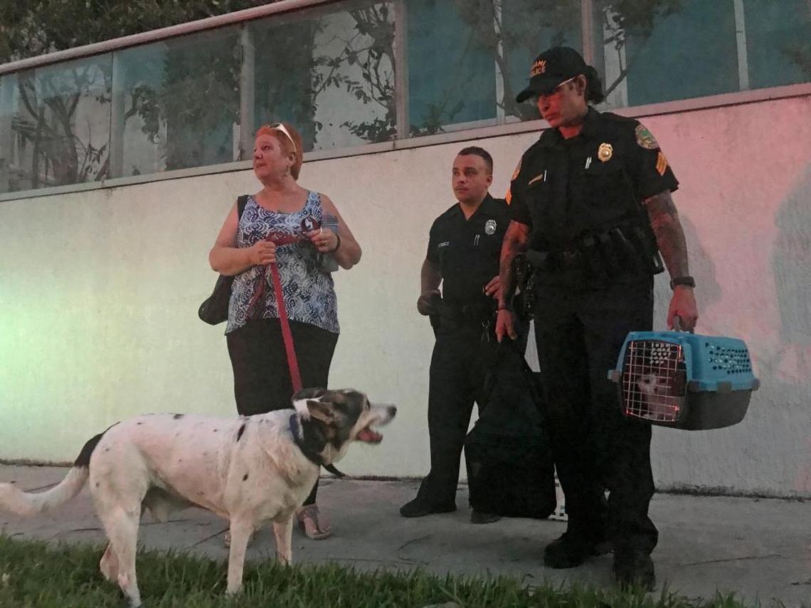 Miami police officers help Juliette Reiss and her pets evacuate her apartment across the street from where a crane collapsed during Hurricane Irma. Police and fire rescue crews evacuated residents of two adjacent buildings Tuesday evening because the broken crane still had not been secured.